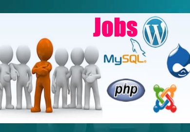 Chennai PHP, Mysql Jobs
